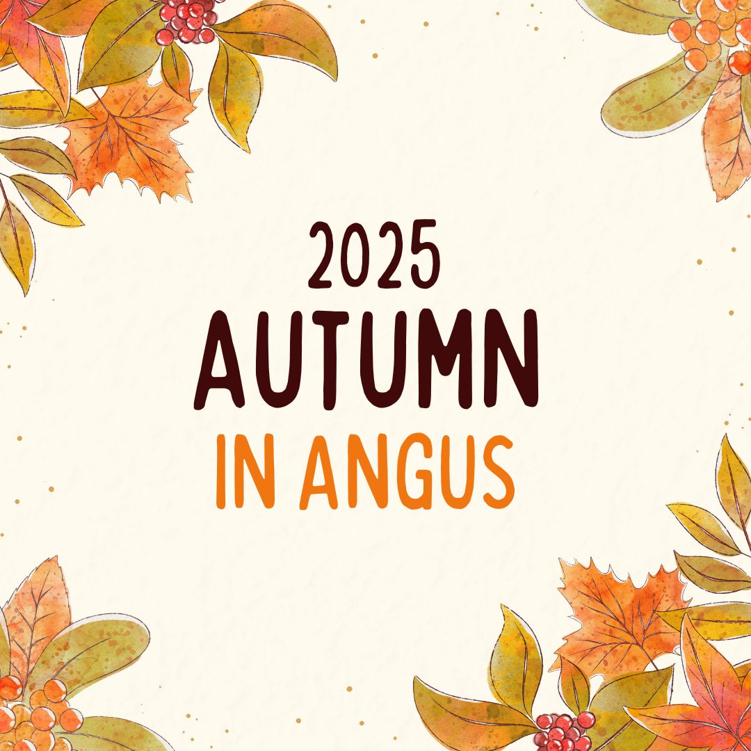 Read more about the article 【Promotions】2025 Fall Limited-Time Offer is Here!